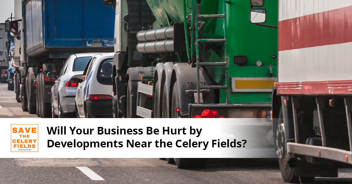 Will Your Business be Hurt By Developments Near the Celery Fields