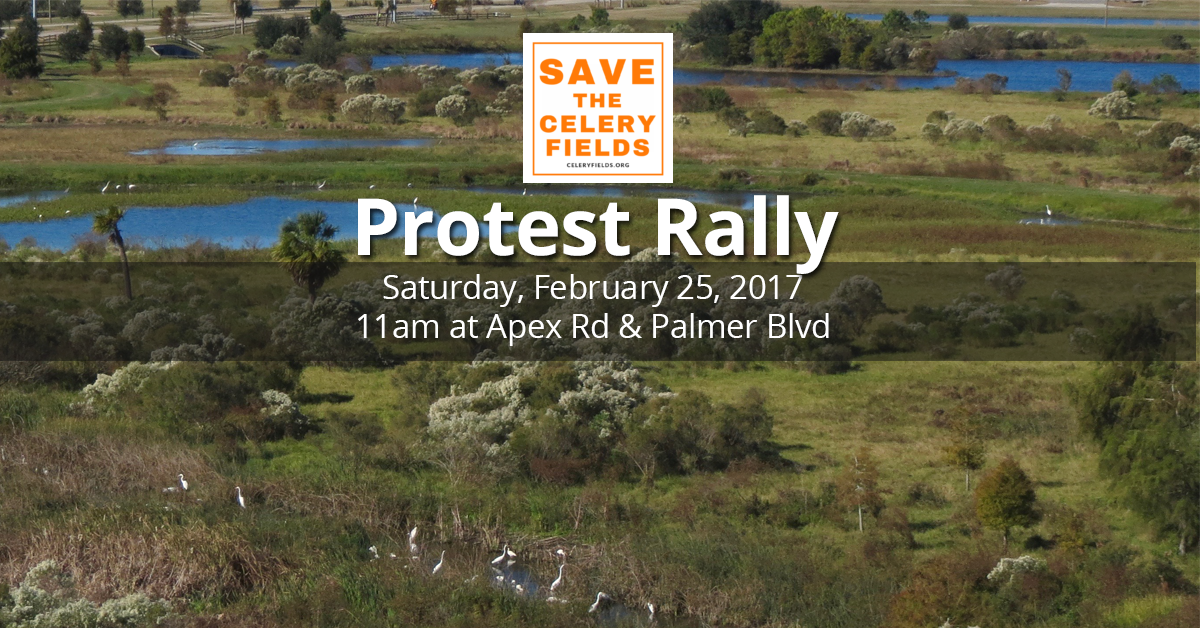 Save The Celery Fields: Protest Rally Saturday February 25, 2017