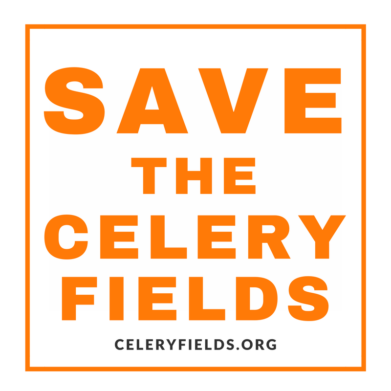 Save The Celery Fields