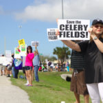 Save the Celery Fields: Protesters on Palmer 2/25/2017