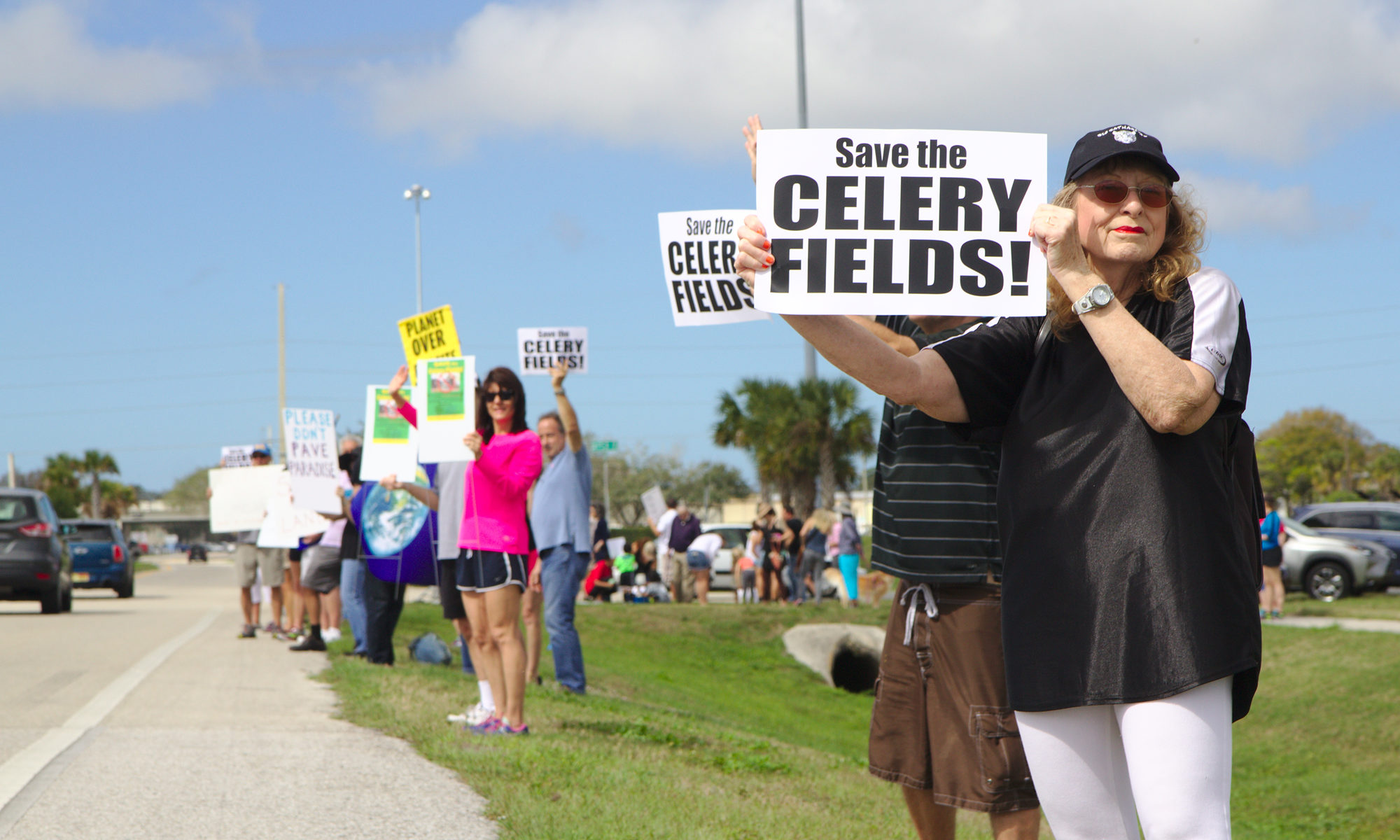 Save the Celery Fields: Protesters on Palmer 2/25/2017