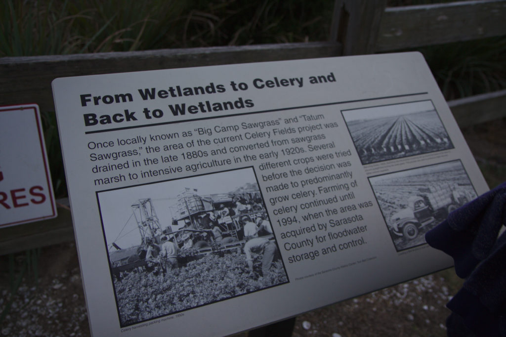 Photo of placard at the Celery Fields: From Wetlands to Celery and Back to Wetlands